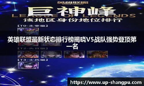 南宫NG·28